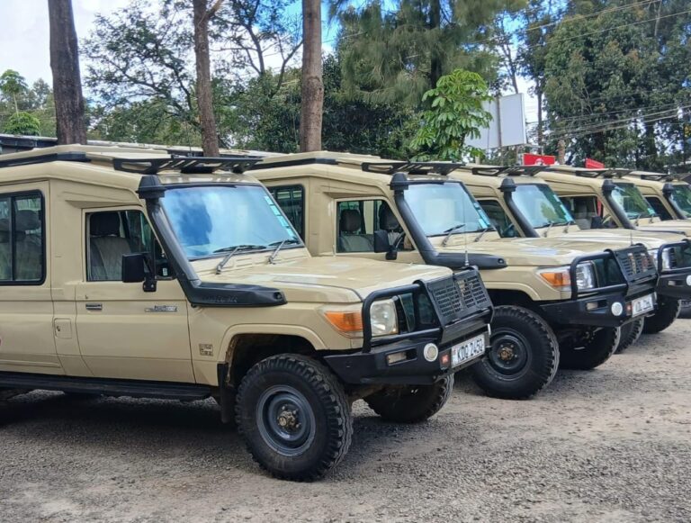 Affordable 4x4 car rental for safaris in Kenya