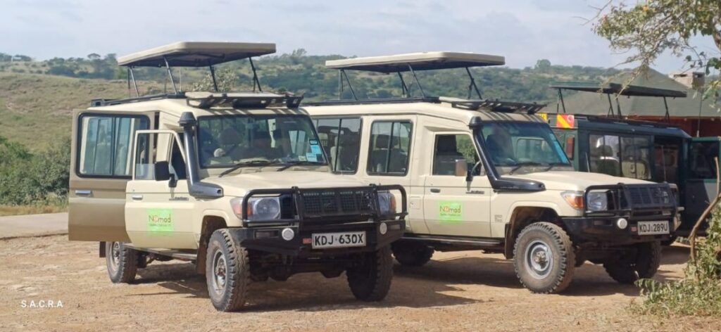 Affordable safari 4x4 car hire in Kenya