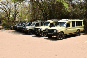 Efficient & Affordable Fleet Management Across Kenya Photoroom