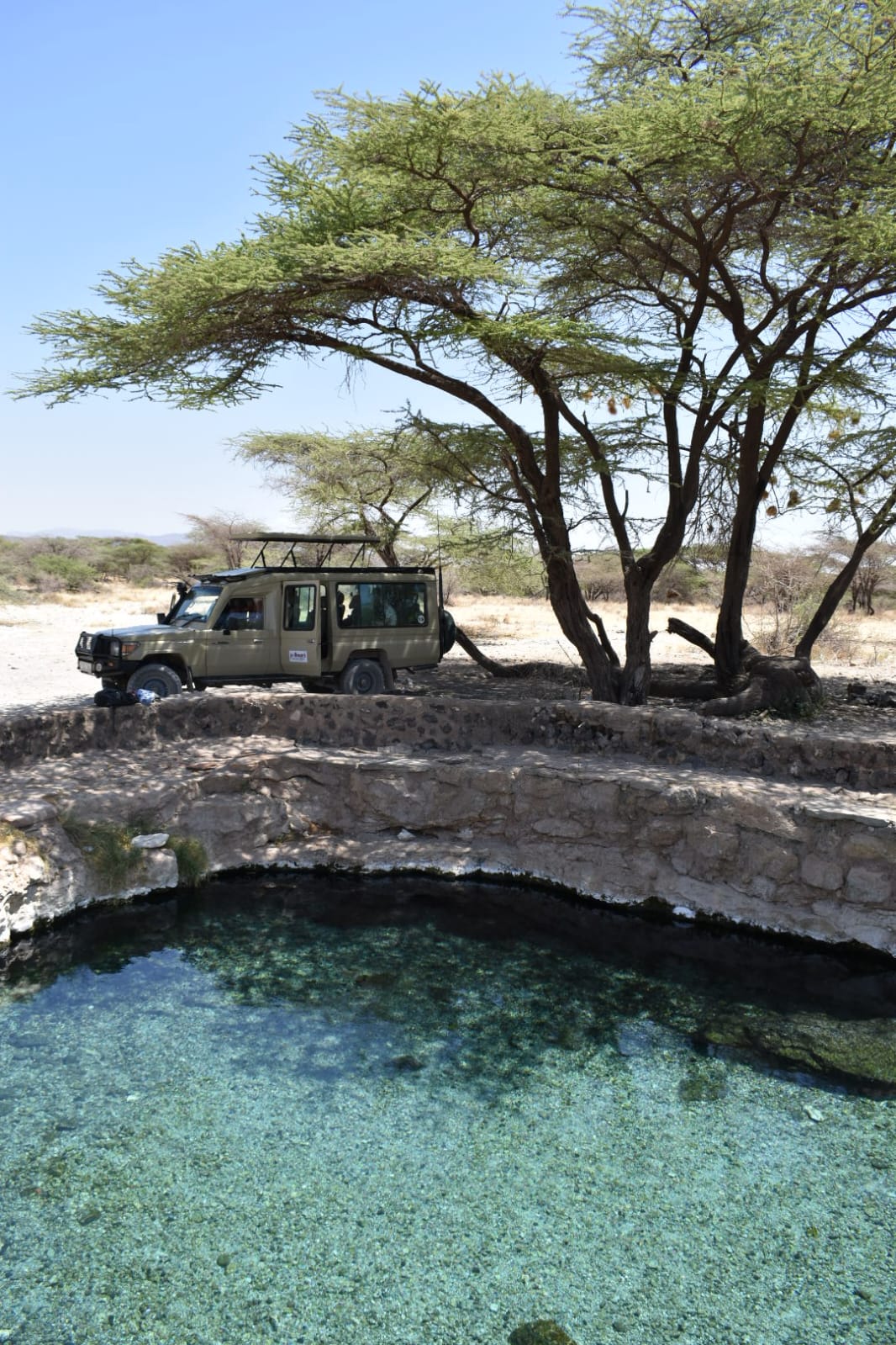 Allano Fleet safari vehicle under an acacia tree