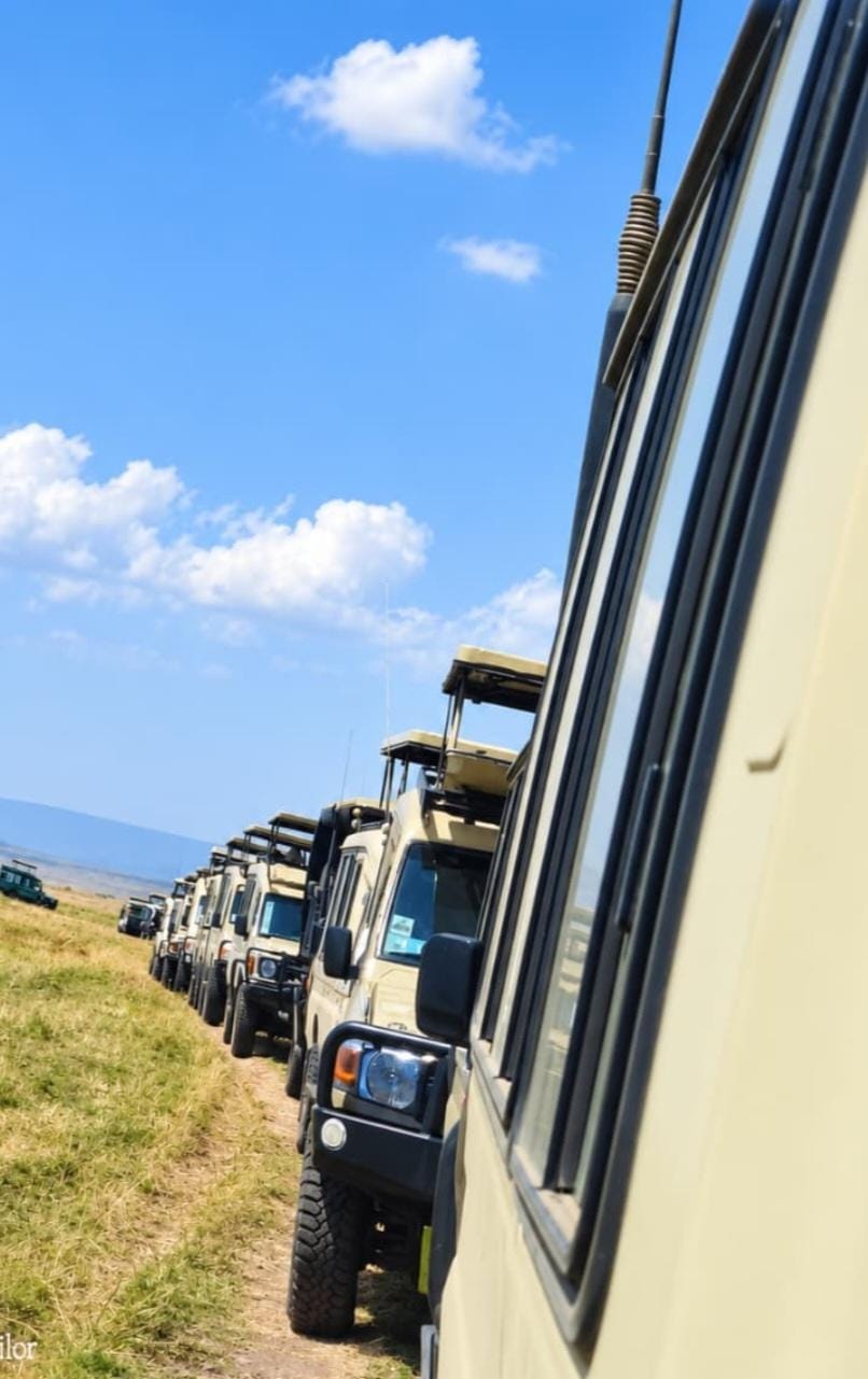 Allano Fleet safari vehicles travelling together